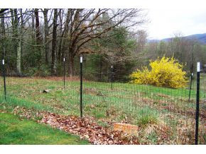1807 Winchester Road Shady Valley, TN 37688 - Photo 19 of 24 FENCED IN VEGETABLE GARDEN