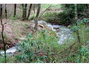 1807 Winchester Road Shady Valley, TN 37688 - Photo 22 of 24 YEAR ROUND CREEK ACROSS STREET