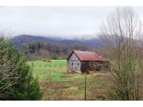 1807 Winchester Road Shady Valley, TN 37688 - Photo 23 of 24 MOUNTAIN VIEWS ACROSS STREET