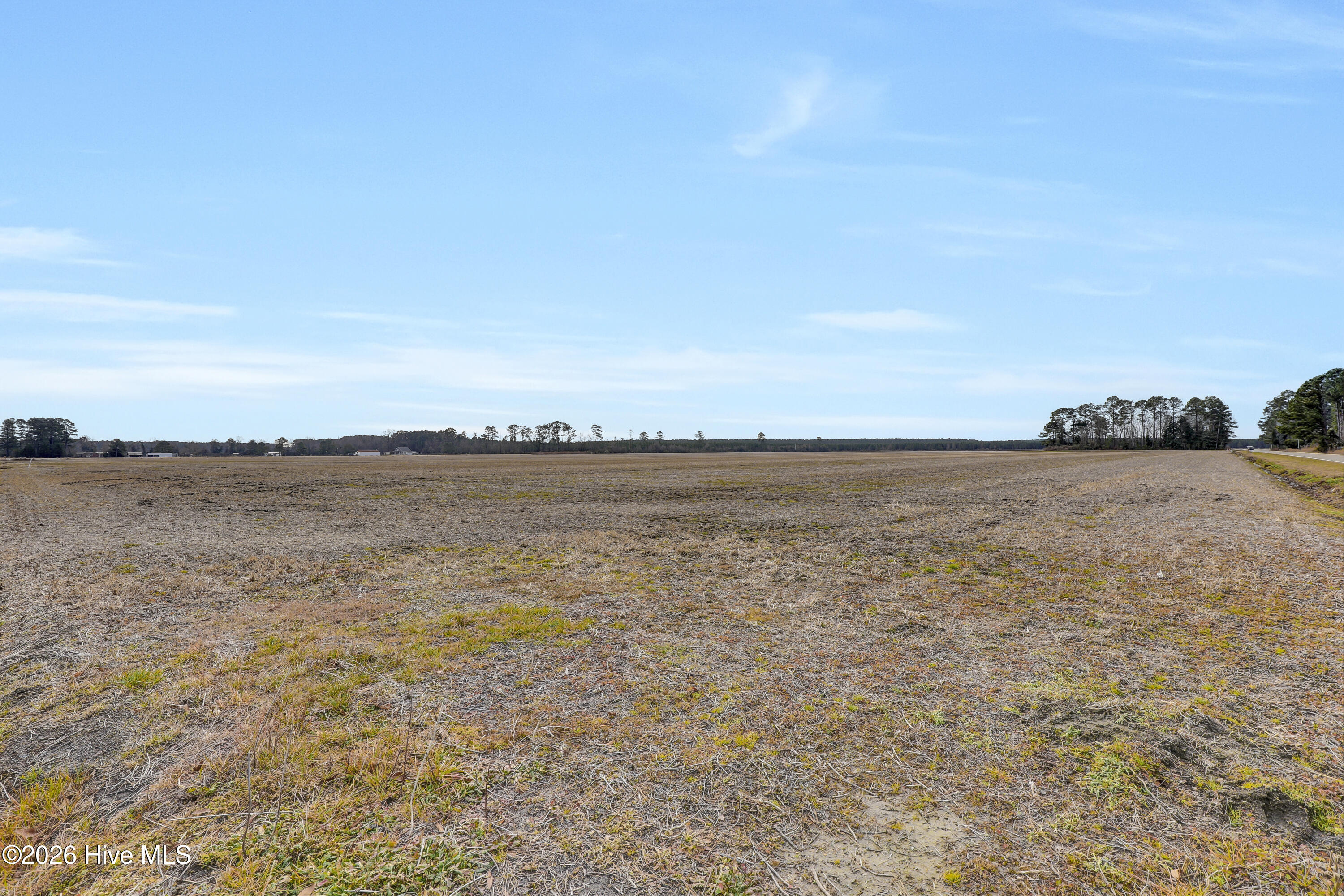 48-49 Highsmith Road Burgaw, NC 28425 - Photo 6 of 14 6G8A6533