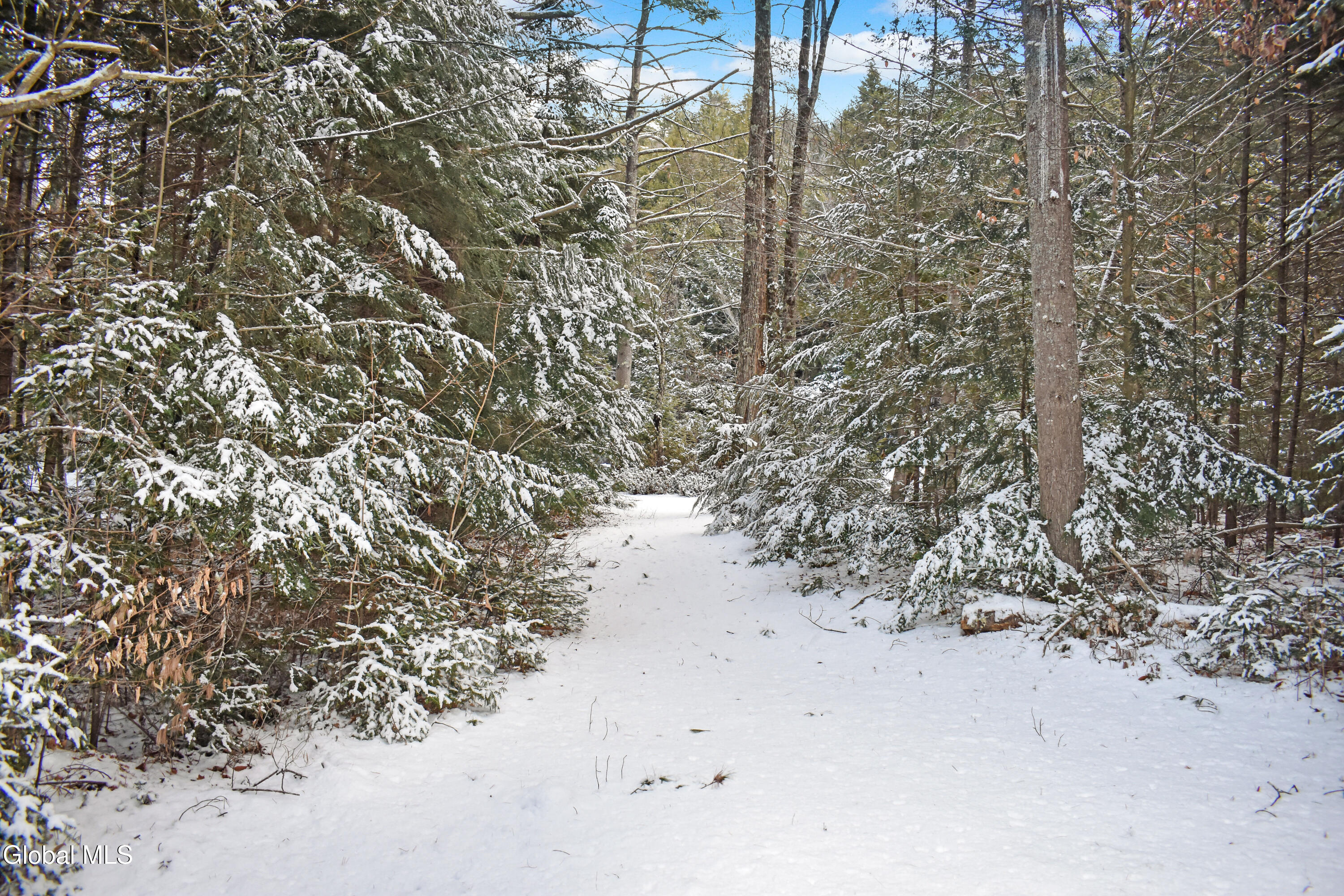 24 French Road Schroon, NY 12870 - Photo 8 of 39 DSC_0067