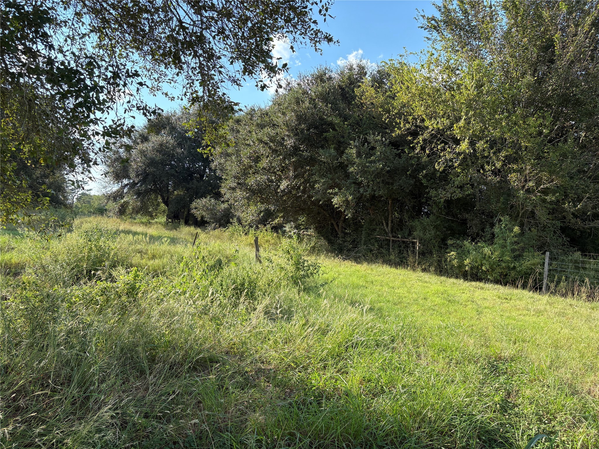 4282 Thompson Road Nome, TX 77629 - Photo 22 of 30 a view of outdoor space and yard