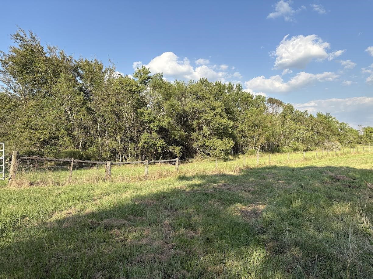 4282 Thompson Road Nome, TX 77629 - Photo 5 of 30 a view of a yard with an outdoor space