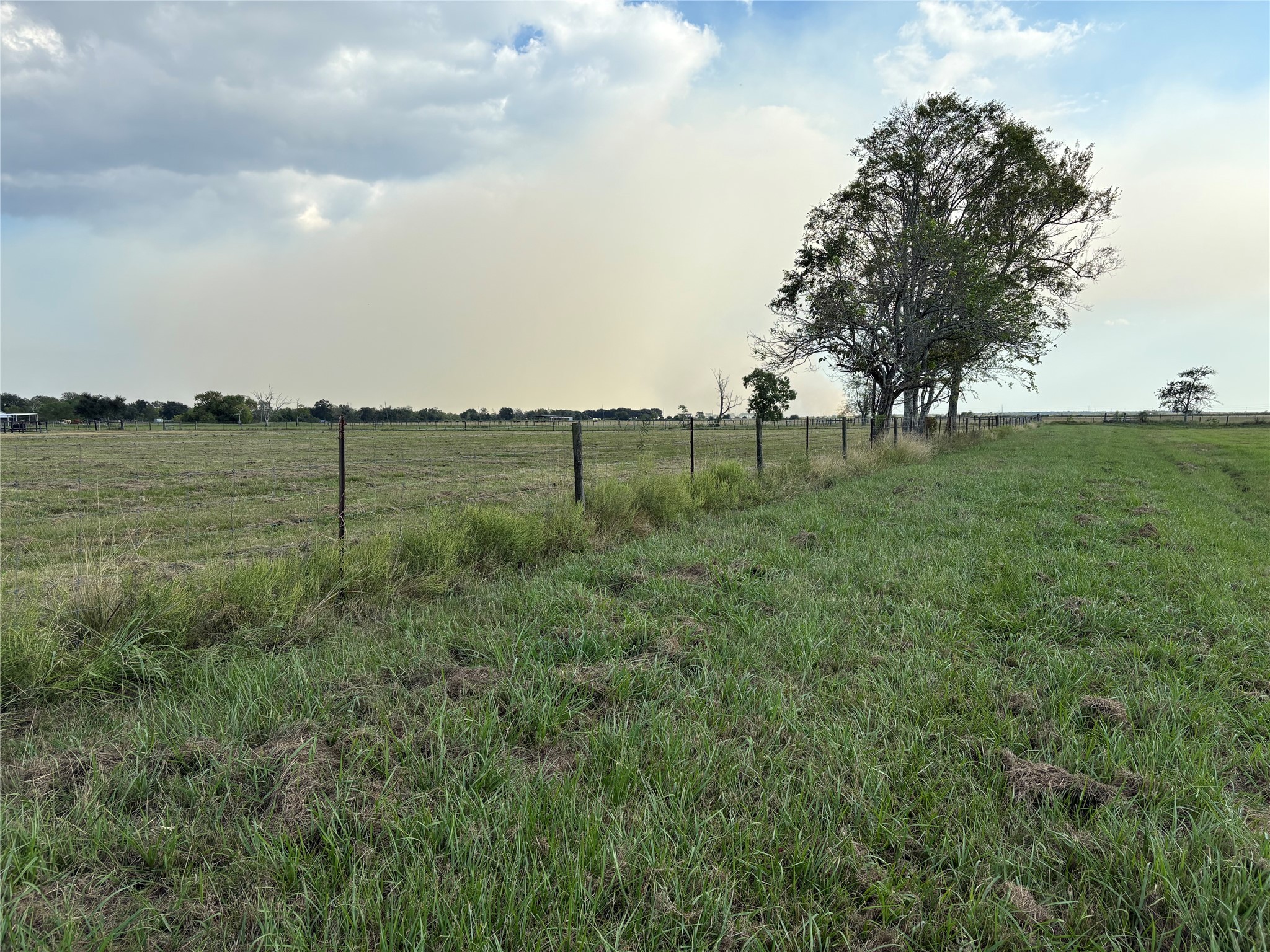 4282 Thompson Road Nome, TX 77629 - Photo 6 of 30 a view of outdoor space and yard