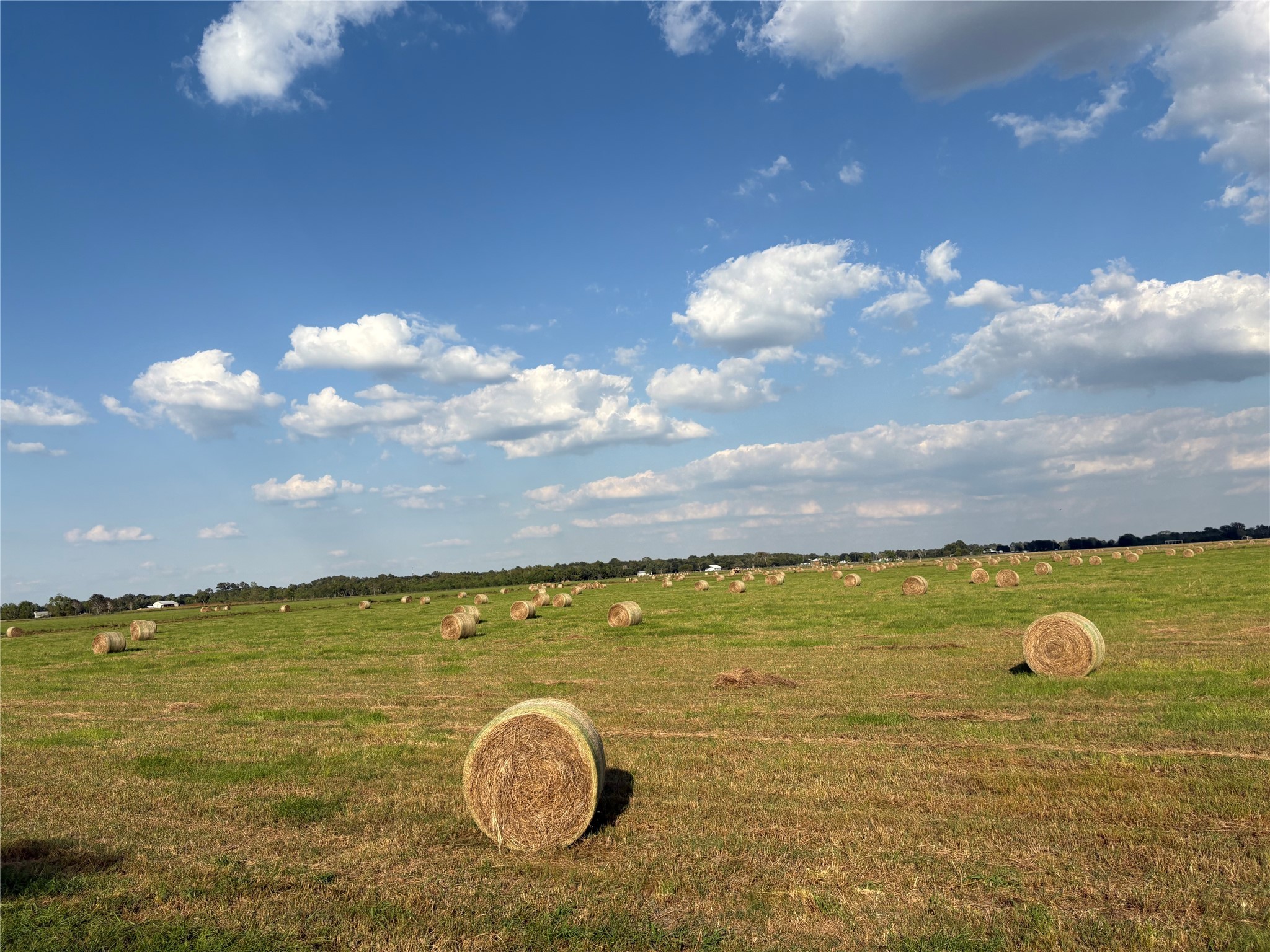4282 Thompson Road Nome, TX 77629 - Photo 9 of 30 a view of an ocean