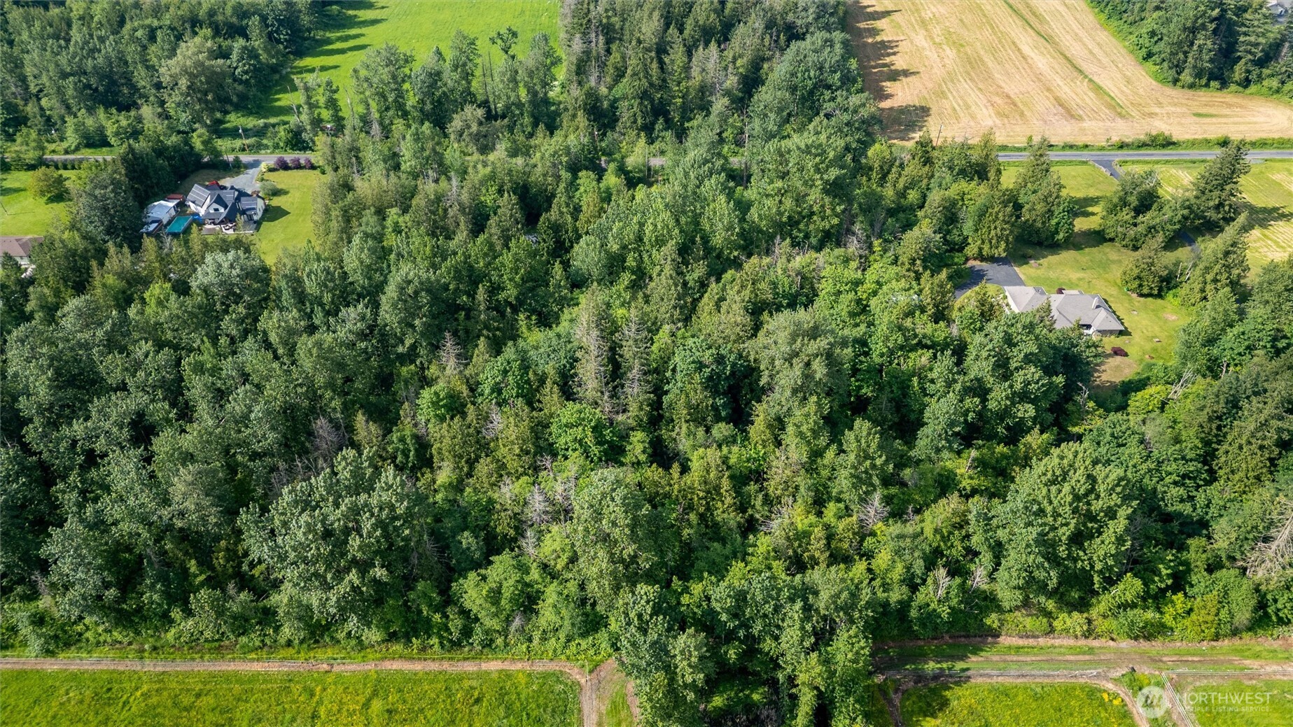 1535 Ten Mile Road Everson, WA 98247 - Photo 36 of 40 a view of a yard with plants and a bench