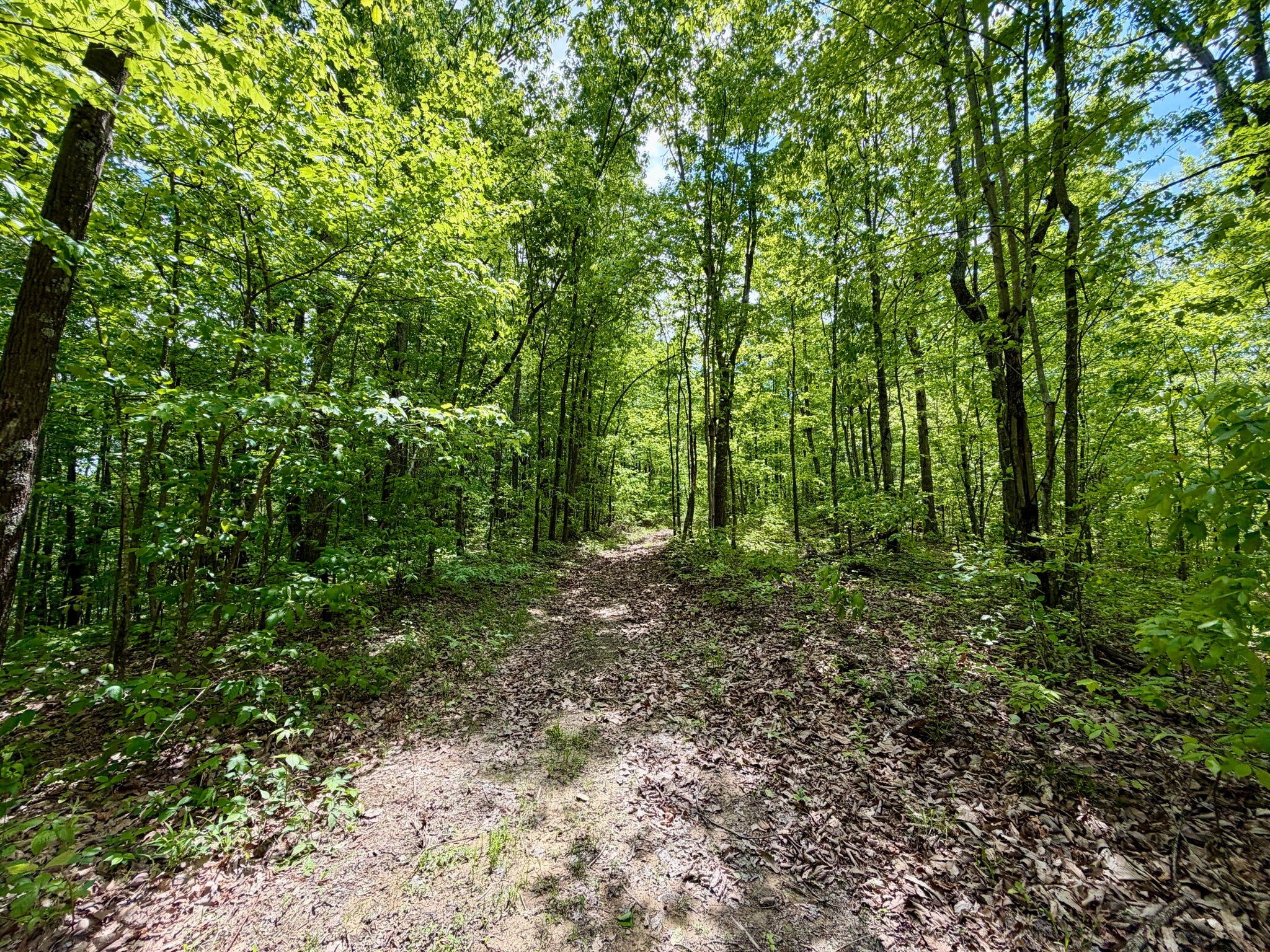 100 A Open Fork Road Morehead, KY 40351 - Photo 24 of 75 Trail