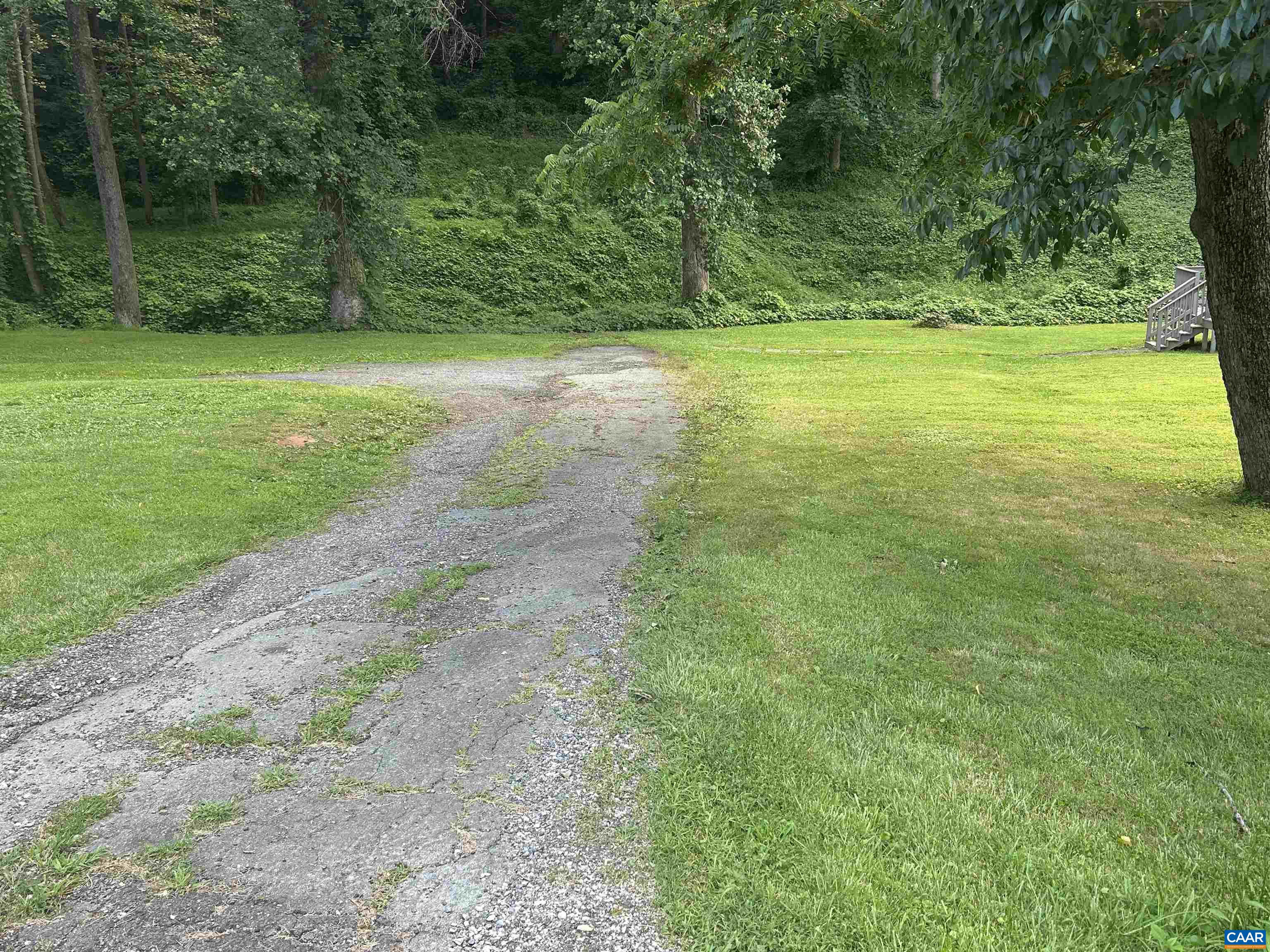 1863 River Road Faber, VA 22938 - Photo 41 of 44 a view of a yard with a trees