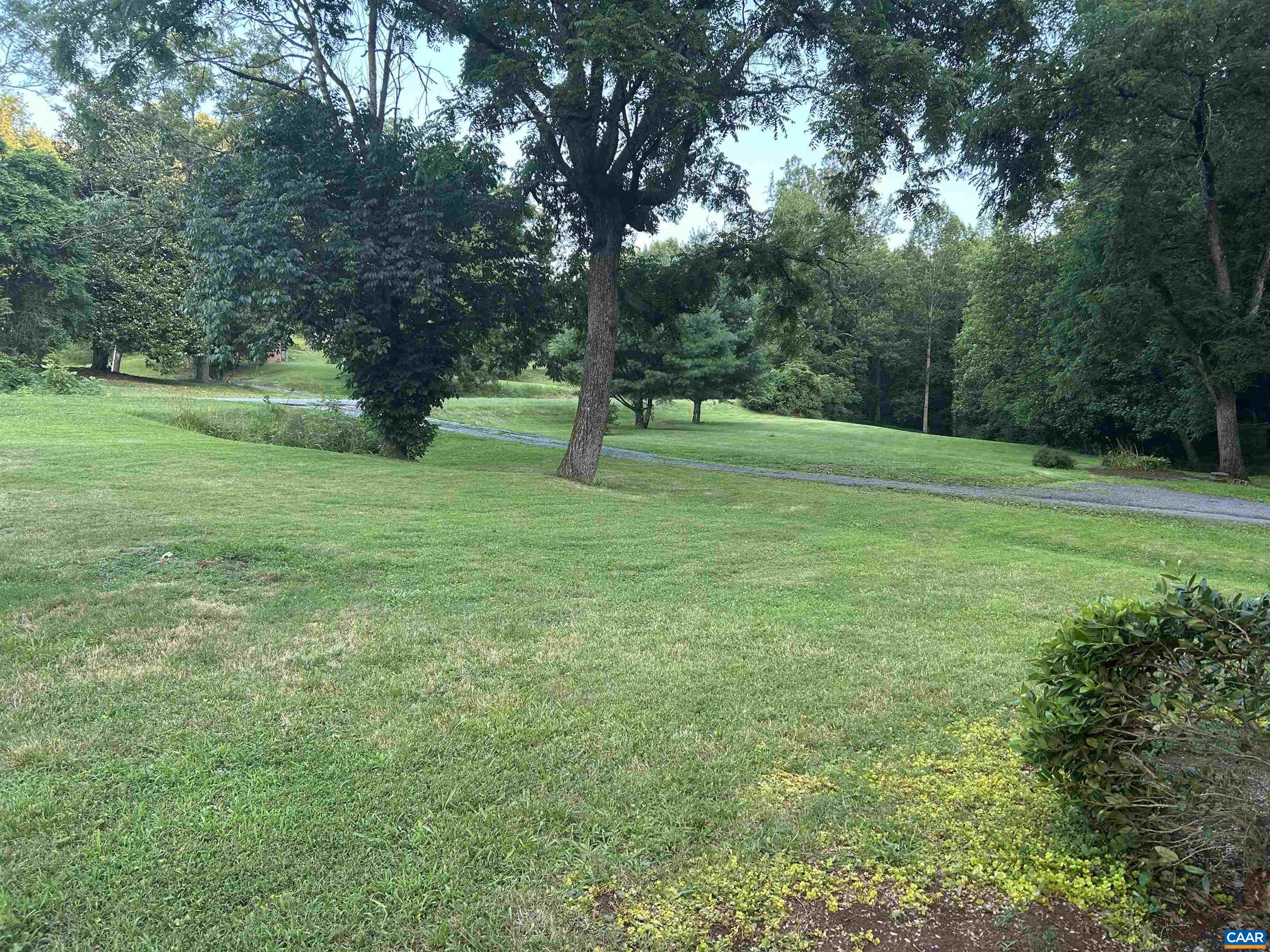 1863 River Road Faber, VA 22938 - Photo 44 of 44 a view of a trees with a yard