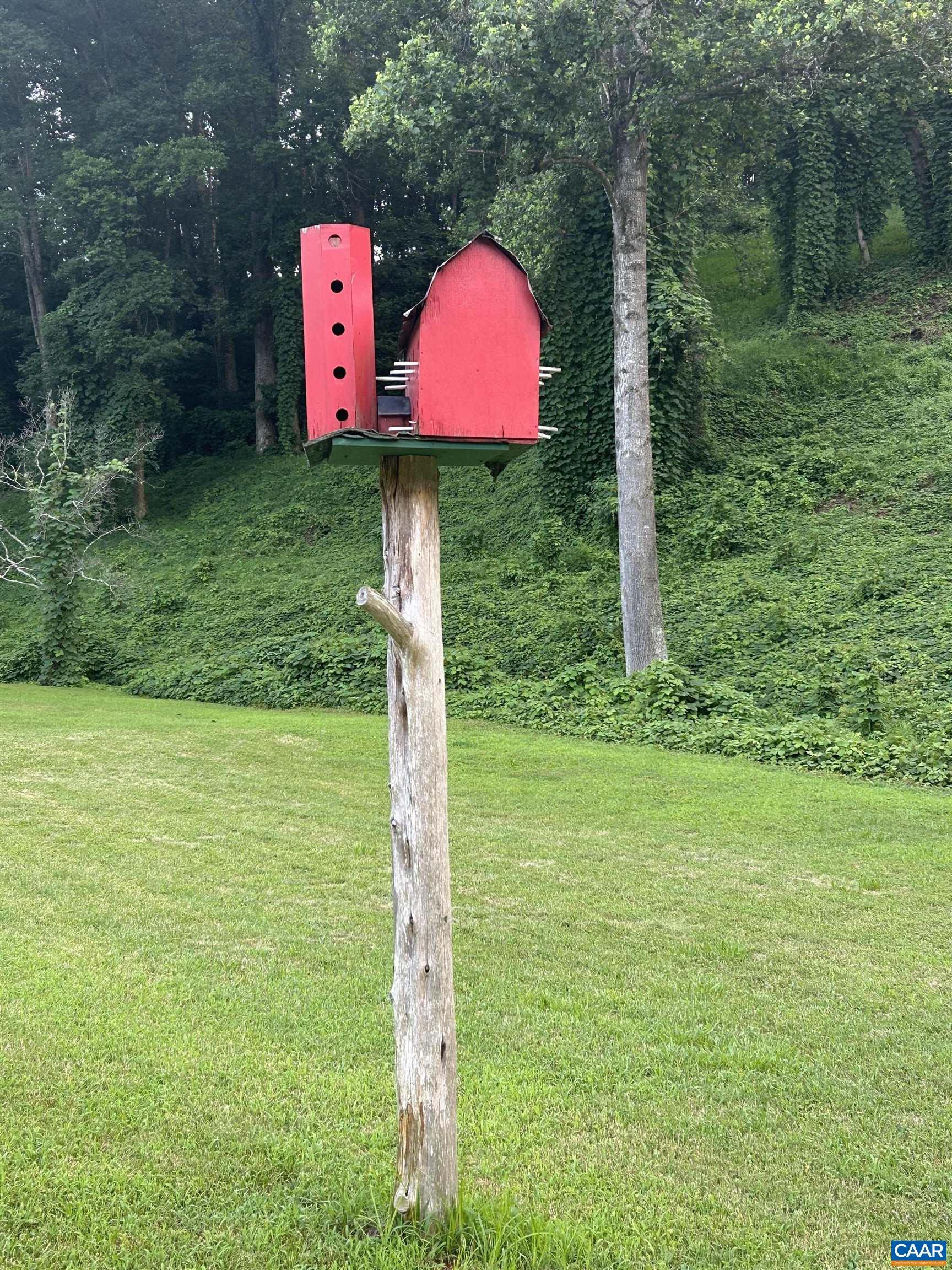 1863 River Road Faber, VA 22938 - Photo 5 of 44 a flag is sitting in the middle of a field
