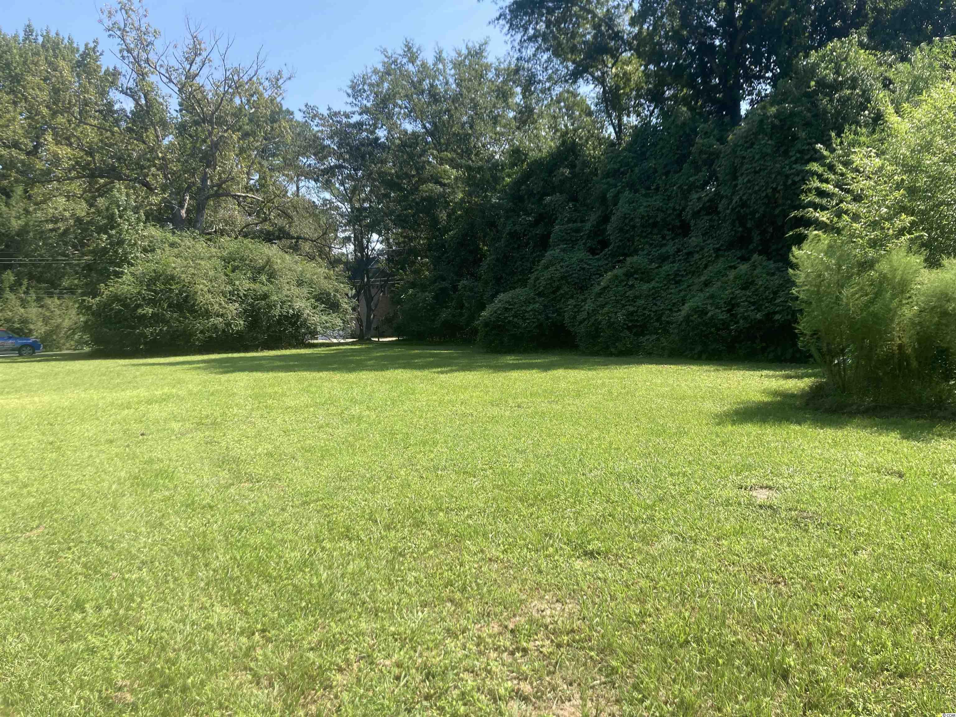 515 State Rd S-21-190 Olanta, SC 29114 - Photo 11 of 14