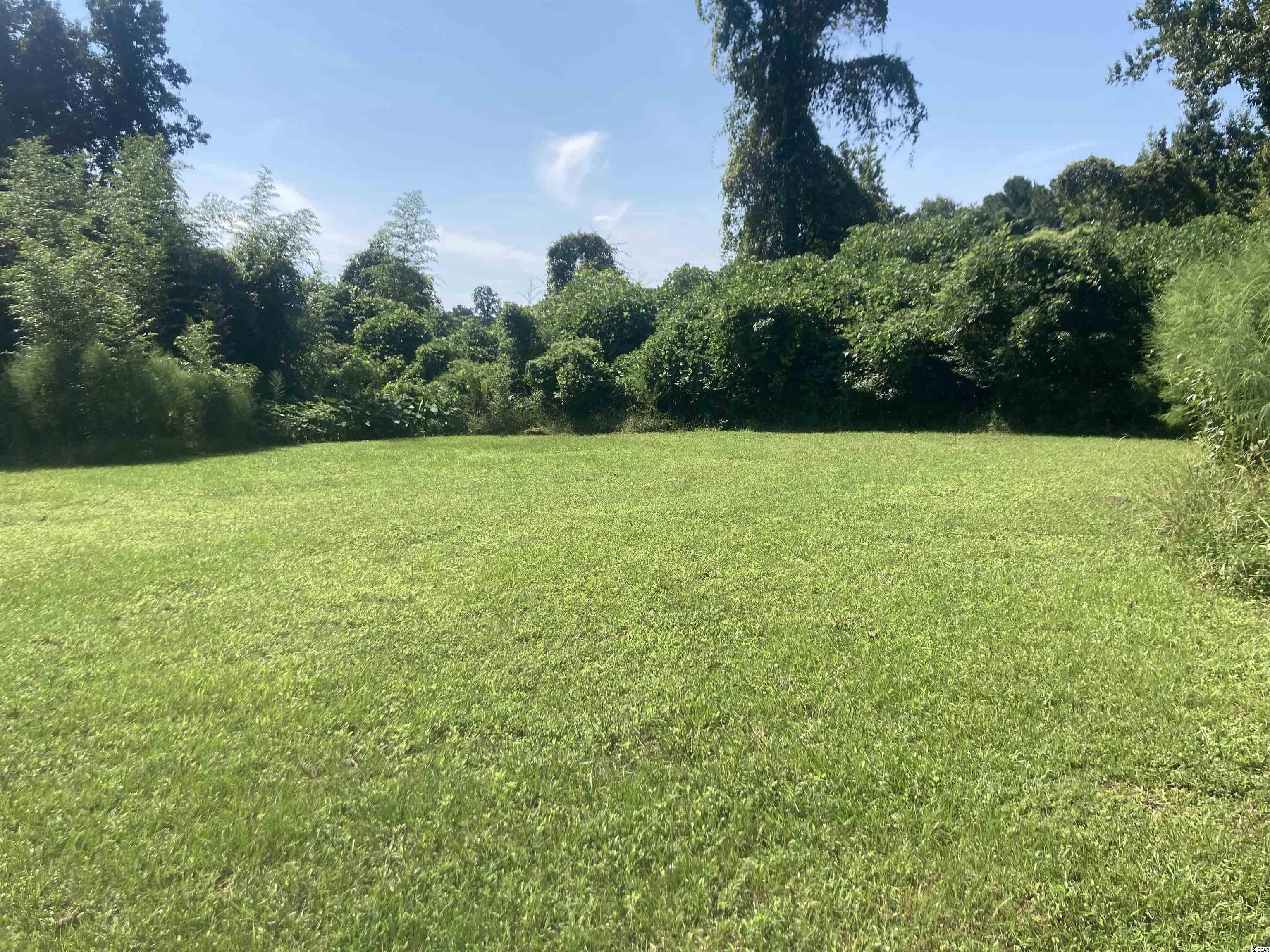 515 State Rd S-21-190 Olanta, SC 29114 - Photo 13 of 14
