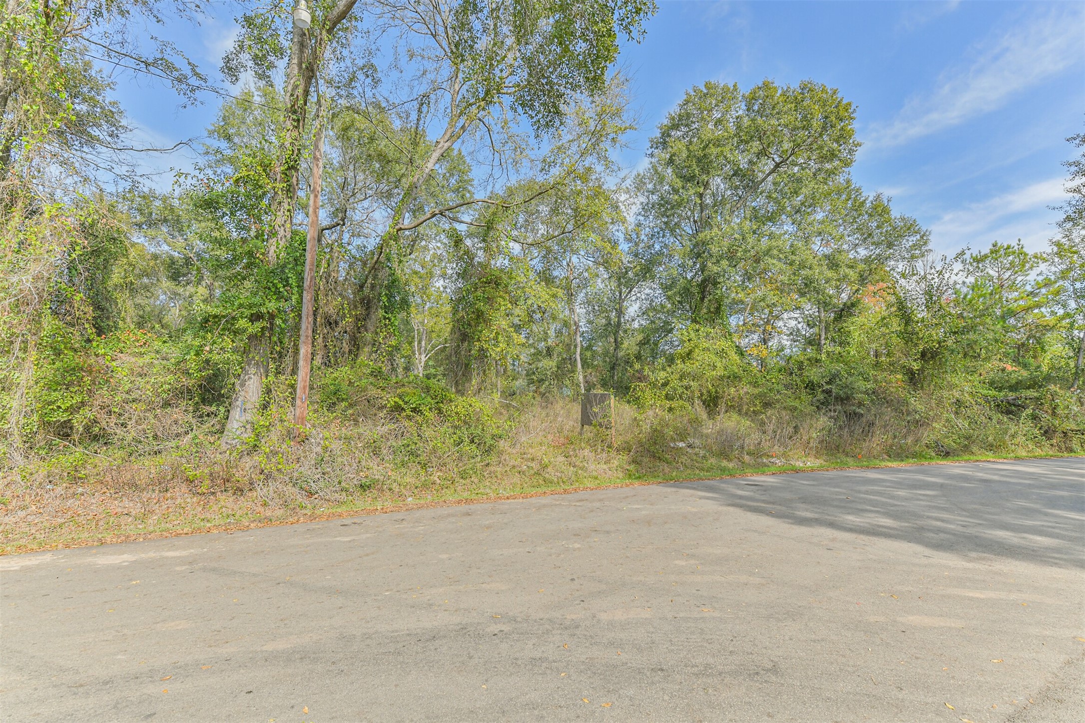 0 Adkins Street Conroe, TX 77301 - Photo 4 of 14