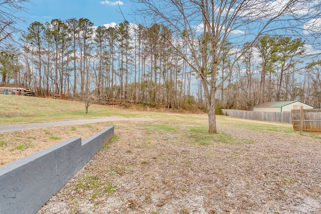 425 South Young Street Sparta, TN 38583 - Photo 30 of 30