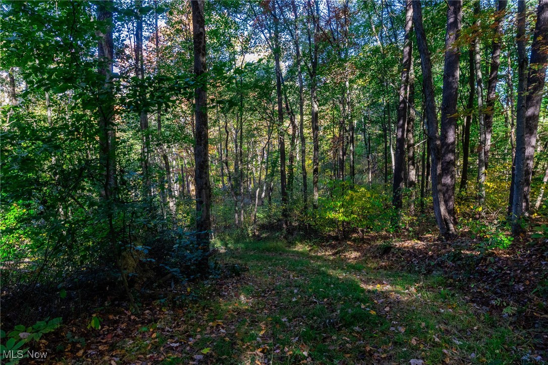 Southwest Johnson Hill Road Newcomerstown, OH 43832 - Photo 26 of 46 View of woods