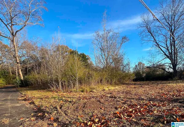 $14,000 | 120 Baker Avenue, Bessemer, AL 35023