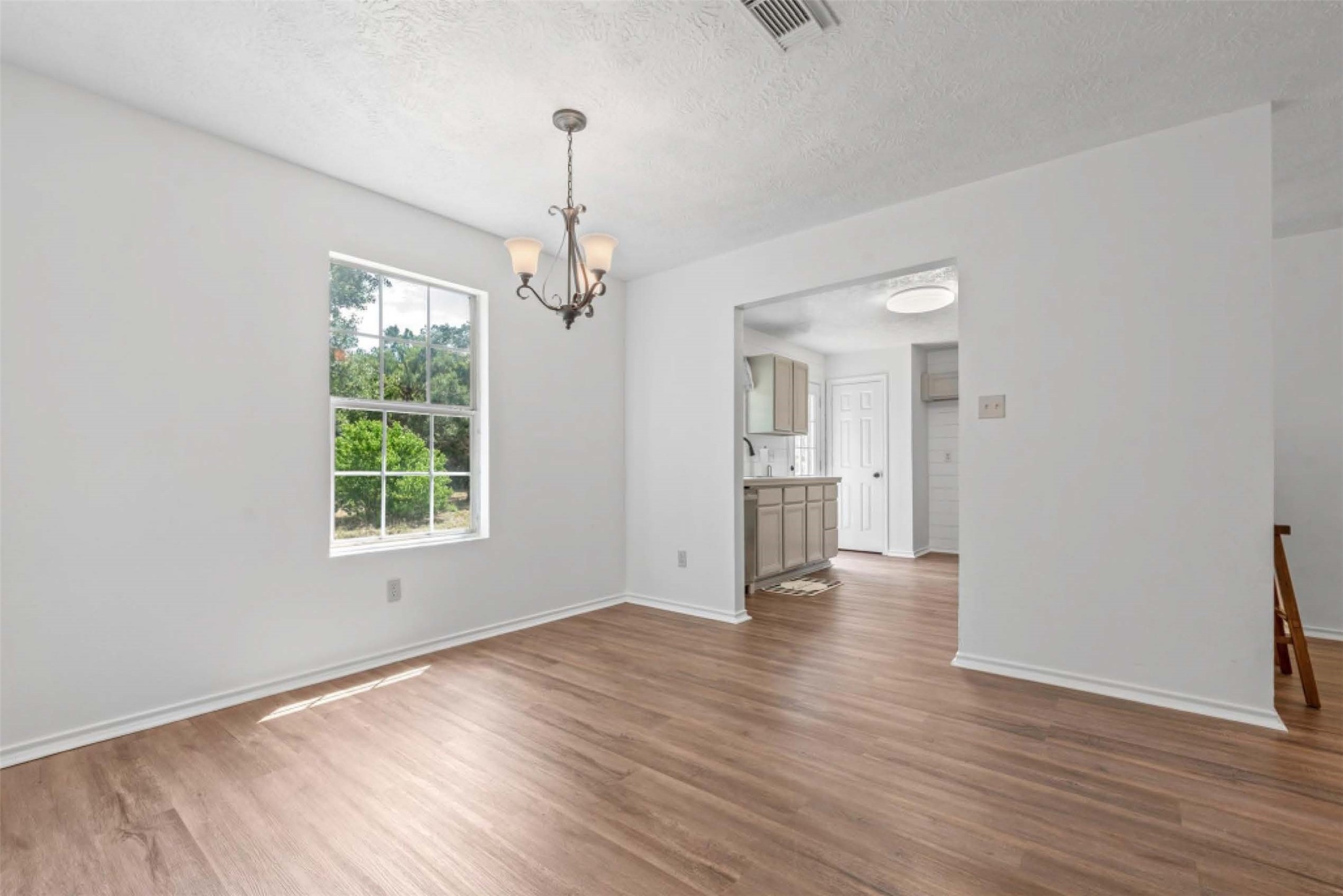 17519 Country Lane Waller, TX 77484 - Photo 3 of 18 Front door to Beautiful Kitchen!