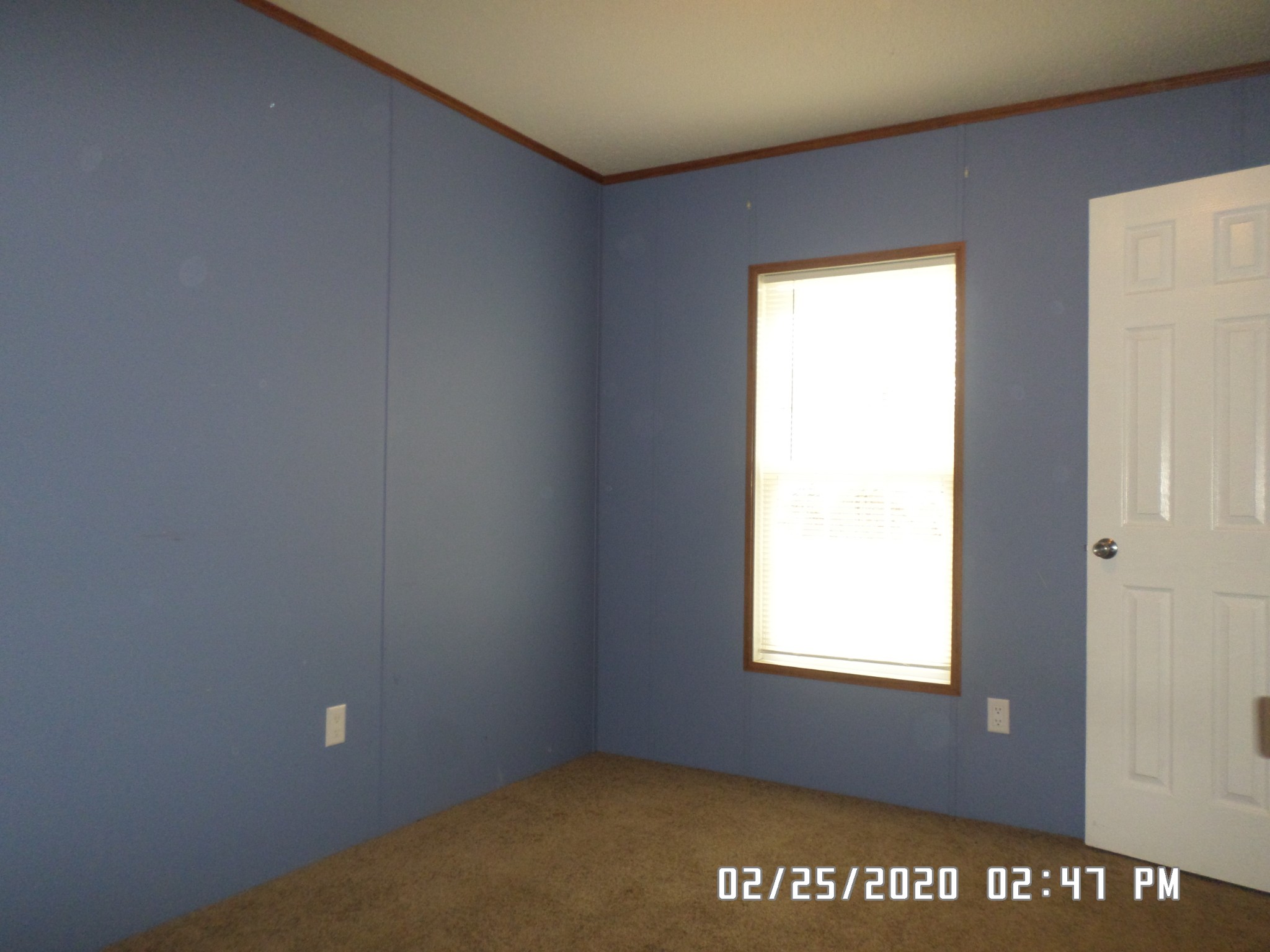 3657 Buffalo Road Summertown, TN 38483 - Photo 12 of 14 Gallery Image 12