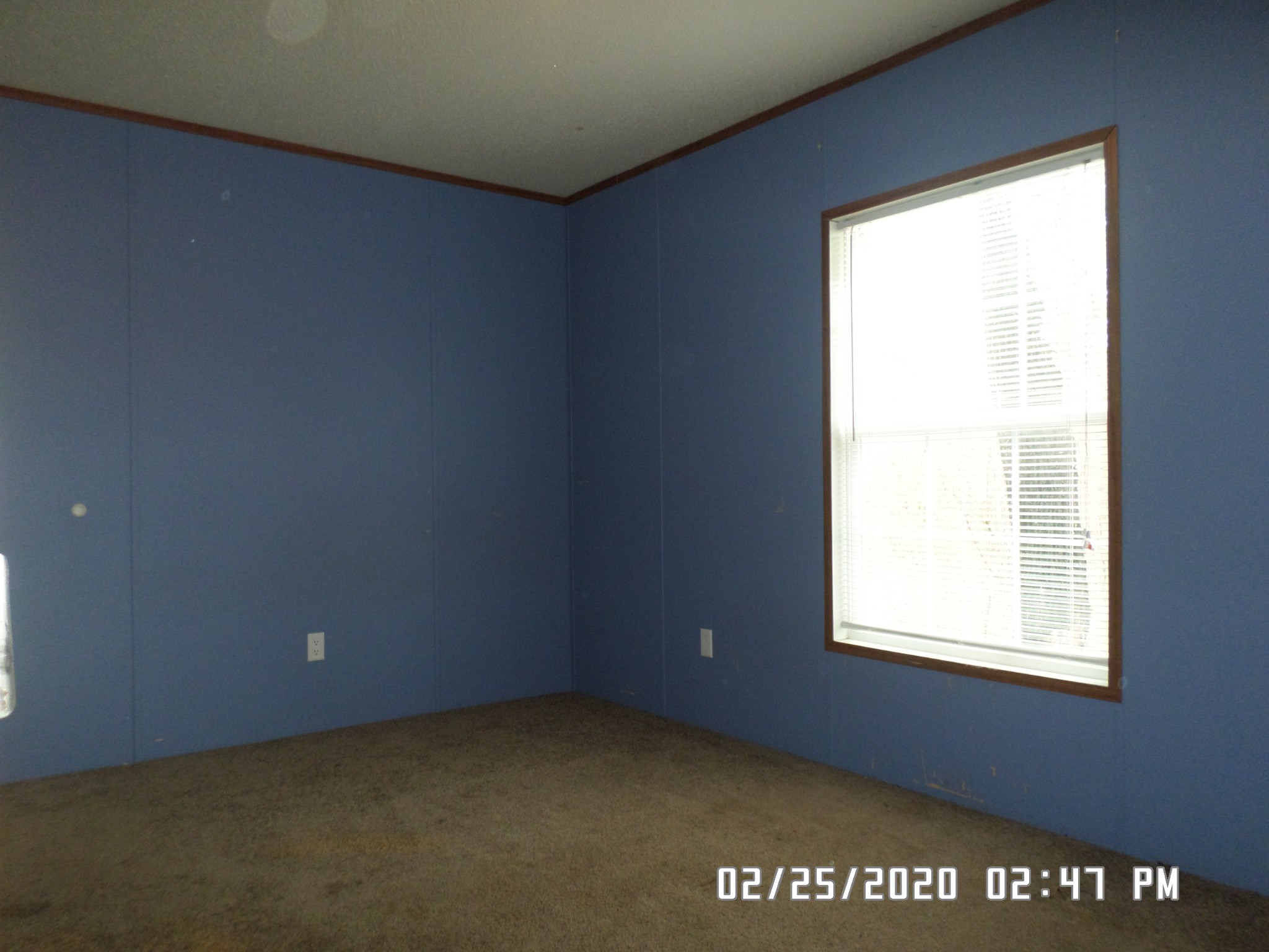 3657 Buffalo Road Summertown, TN 38483 - Photo 14 of 14 Gallery Image 14