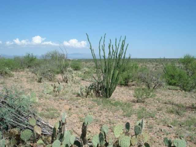 57 Camino Nacozari Rio Rico, AZ 85648 - Photo 5 of 9