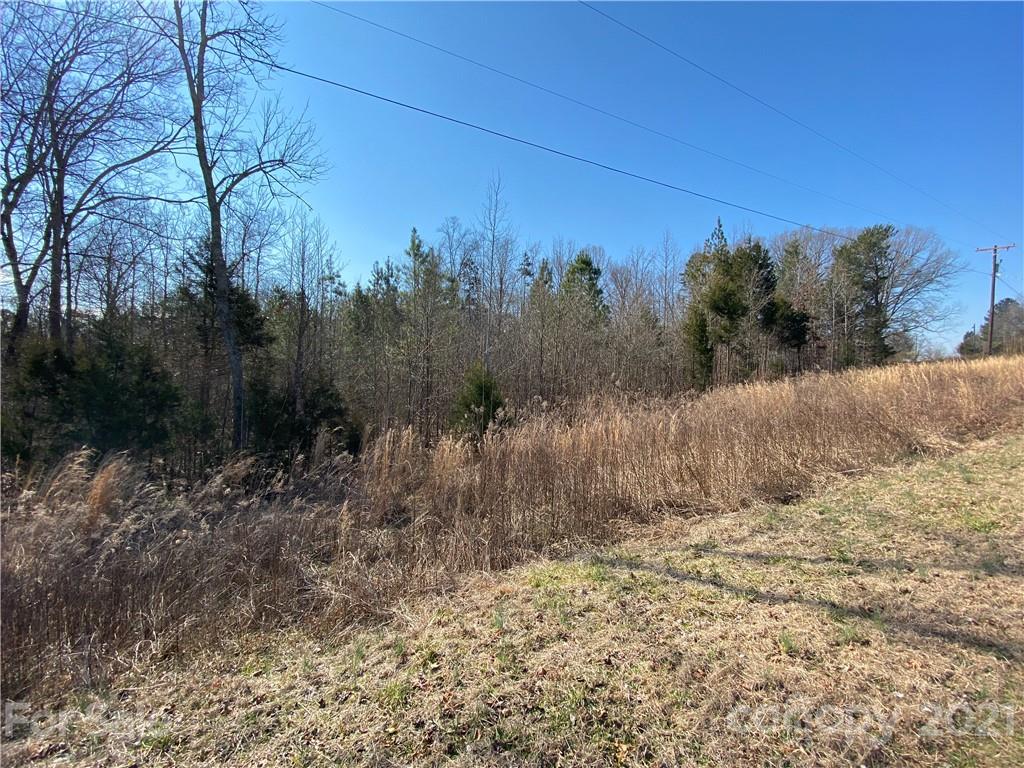 262 Bar Link Road Mount Pleasant, NC 28124 - Photo 2 of 3 a view of a dry yard with trees