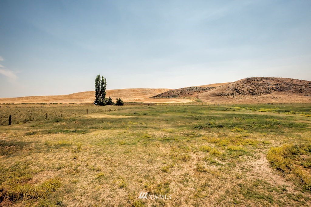 3045 Detour Road Walla Walla, WA 99362 - Photo 2 of 20