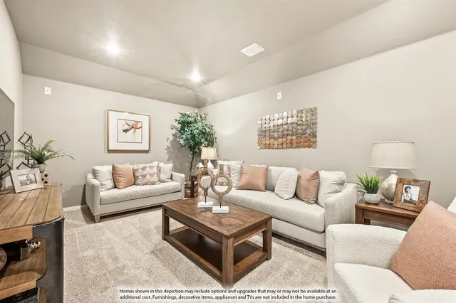 a living room with furniture a rug and a potted plant