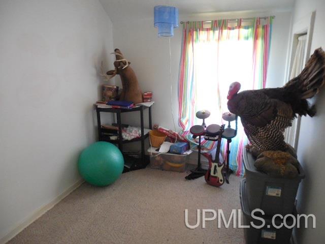 1015 Plank Road Greenland, MI 49953 - Photo 9 of 11