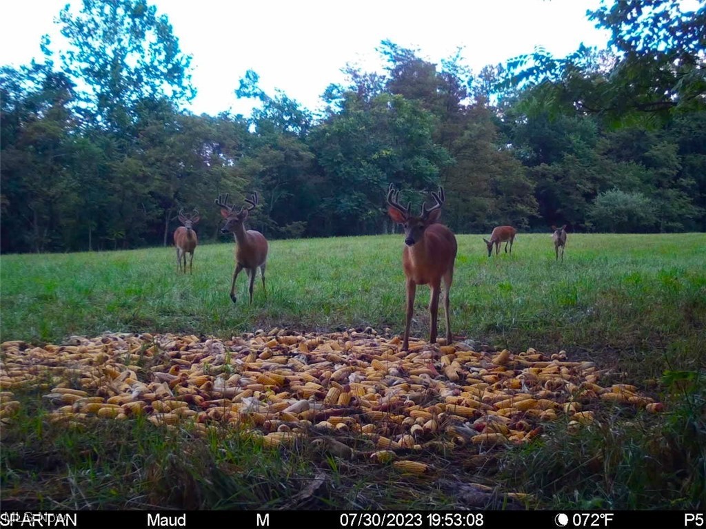 Sycamore Road Quaker City, OH 43773 - Photo 2 of 27