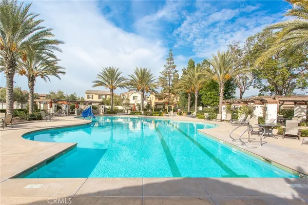 a park with palm trees