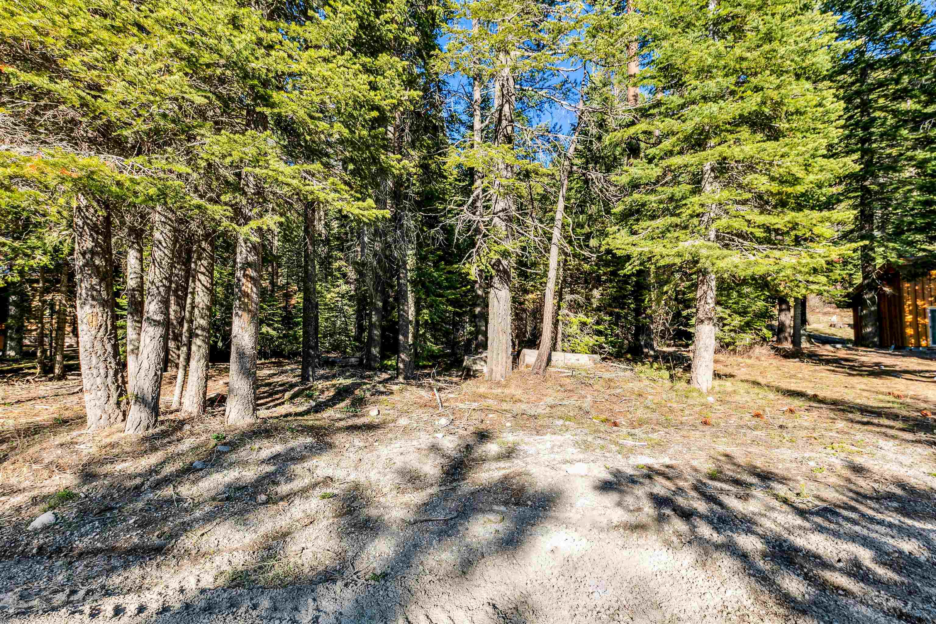 7898 River Road Truckee, CA 96161 - Photo 12 of 20 a view of road with trees