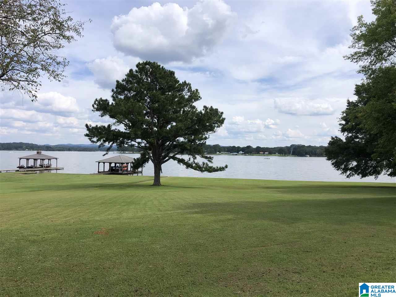 220 Viewpoint Circle Pell City, AL 35128 - Photo 50 of 50