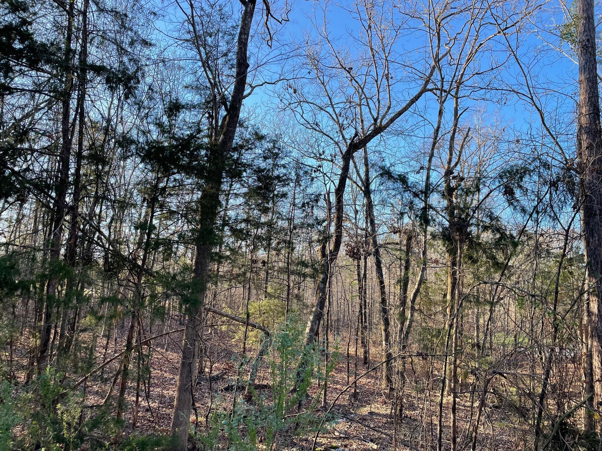 Lot 22 Plantation Point Road Lincolnton, GA 30817 - Photo 4 of 9 Plantation - 3