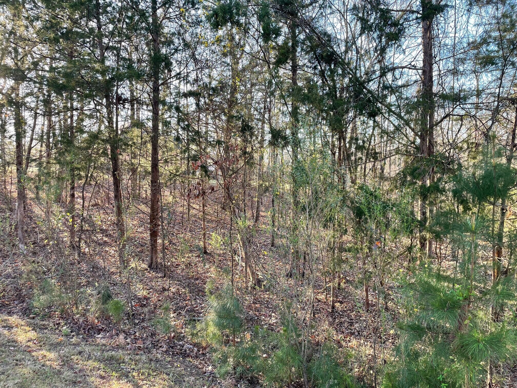 Lot 22 Plantation Point Road Lincolnton, GA 30817 - Photo 5 of 9 Plantation -4