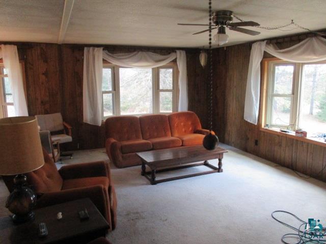 2006 Gillogly Road Carlton, MN 55718 - Photo 6 of 11 Gallery Image 6