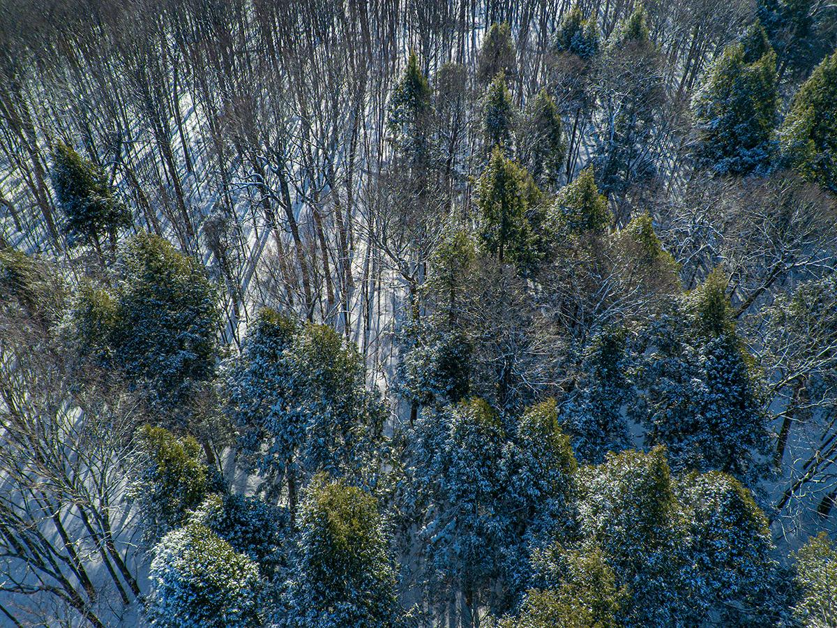 Off Bear Tail Point Phelps, WI 54554 - Photo 5 of 19 Gallery Image 5
