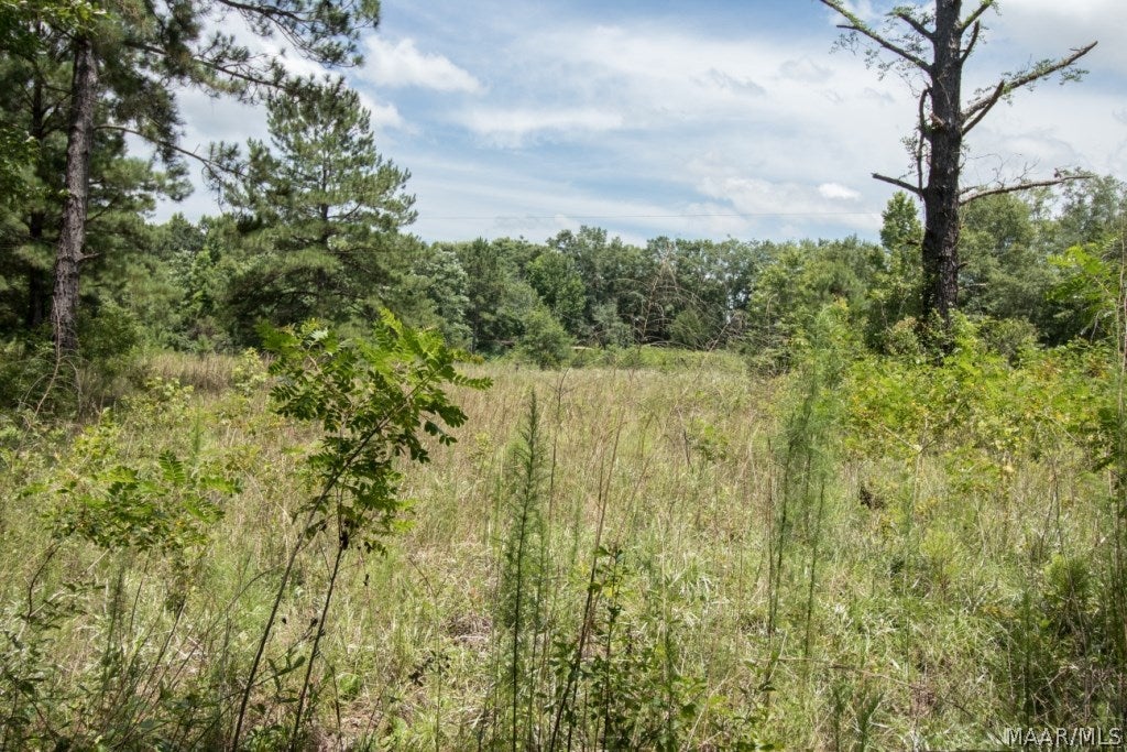1114 Bonner Road Hartford, AL 36344 - Photo 16 of 20 Gallery Image 16