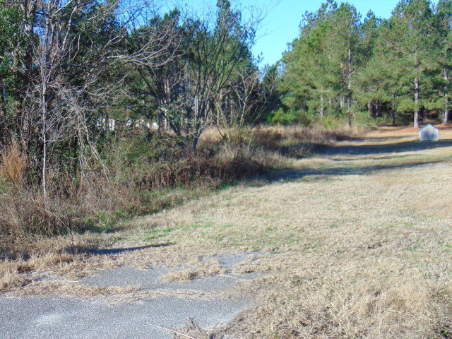 0 Rodeo Eutawville, SC 29048 - Photo 1 of 1 Gallery Image 1