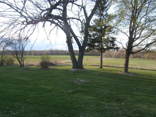 2260 Lyons Road Owosso, MI 48867 - Photo 3 of 31 31317524-2.JPG