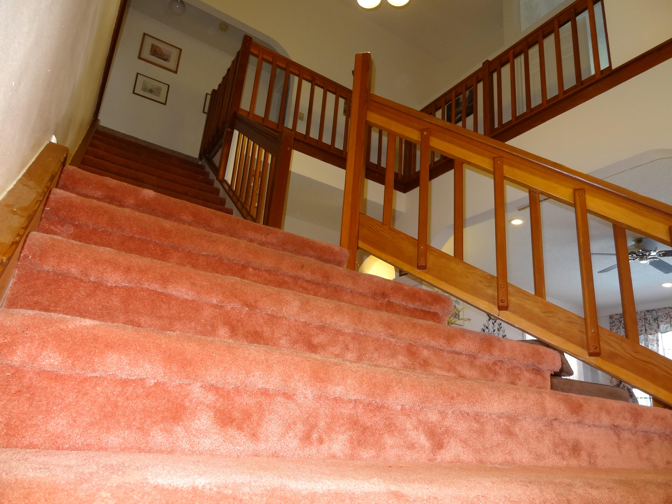 5599 Marbella Drive Boca Raton, FL 33433 - Photo 22 of 54 DSC05378