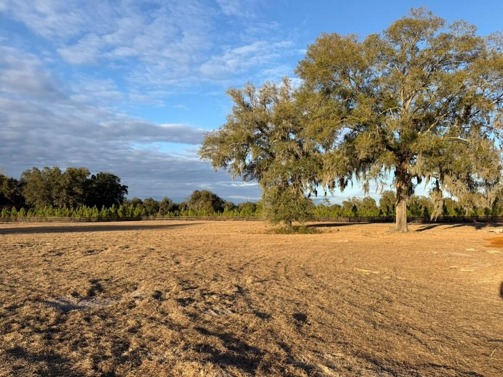 5215 Southwest 125th Circle Archer, FL 32618 - Photo 2 of 4