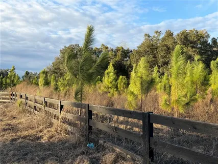 a view of a yard with plants and wooden fence