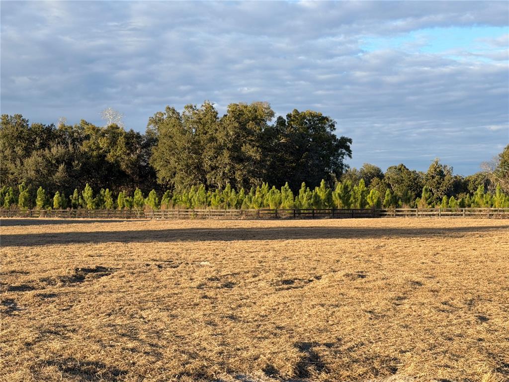 5215 Southwest 125th Circle Archer, FL 32618 - Photo 4 of 4