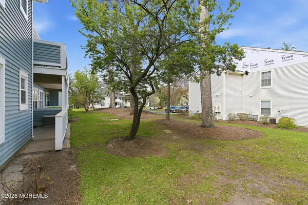 a view of a backyard with a tree