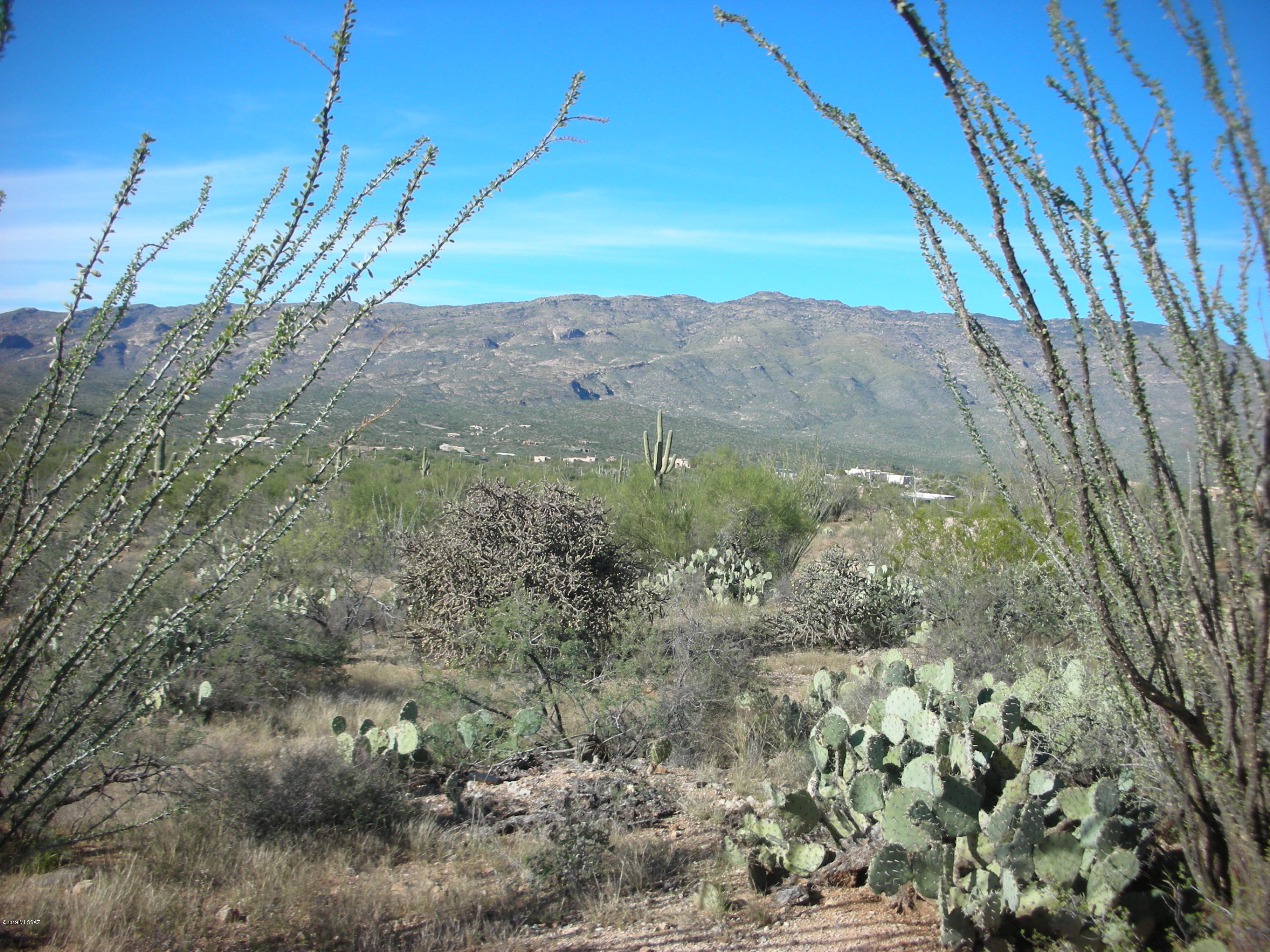 Tbd East Camino Dorotea Road Vail, AZ 85641 - Photo 3 of 24