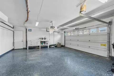 a view of a bunch of trees and bushes