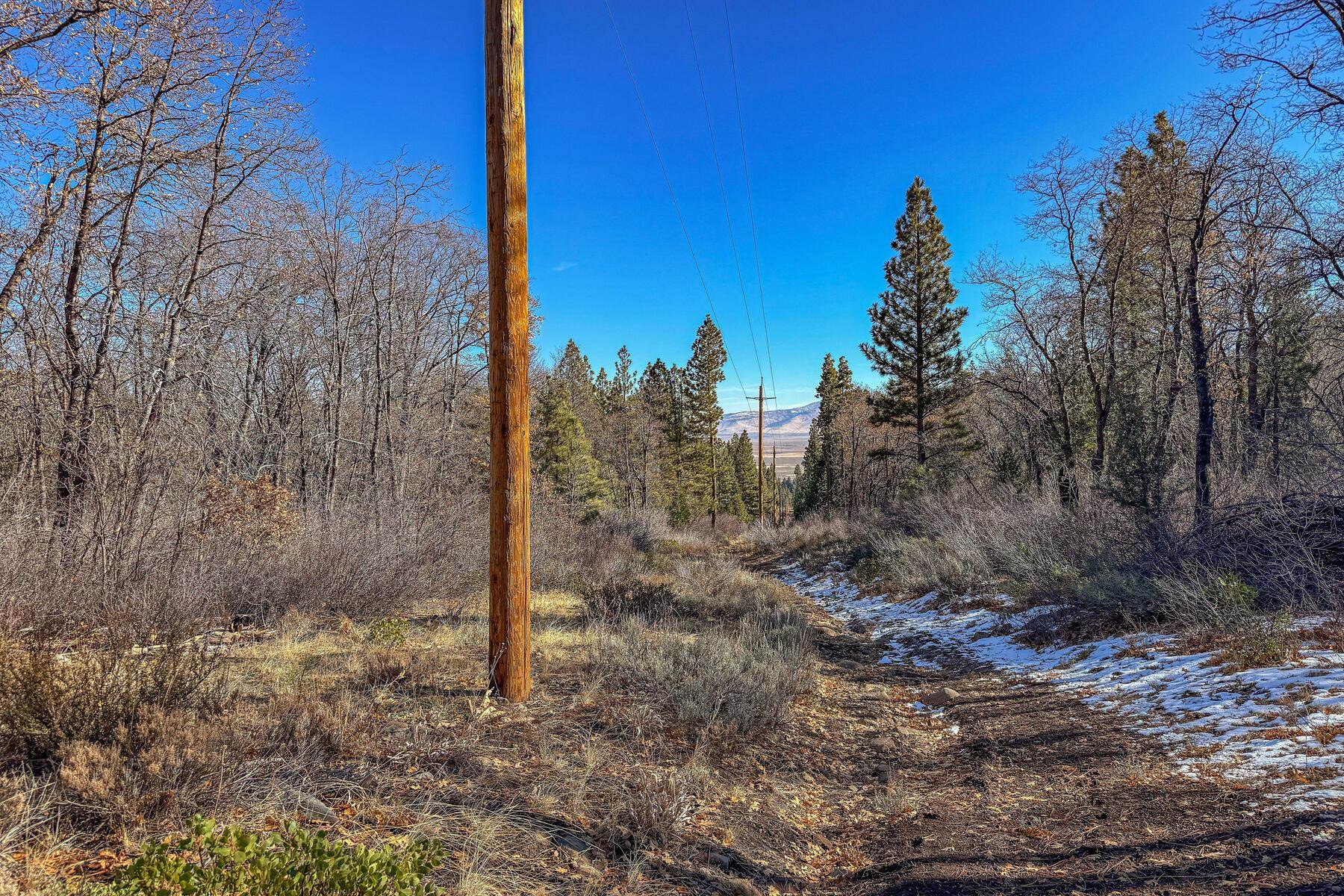 2850 22n03 Beckwourth, CA 96129 - Photo 13 of 15 a view of a yard with mountain view