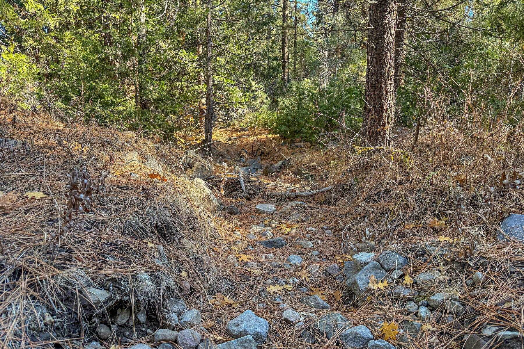 2850 22n03 Beckwourth, CA 96129 - Photo 7 of 15 a view of a forest with trees in the background