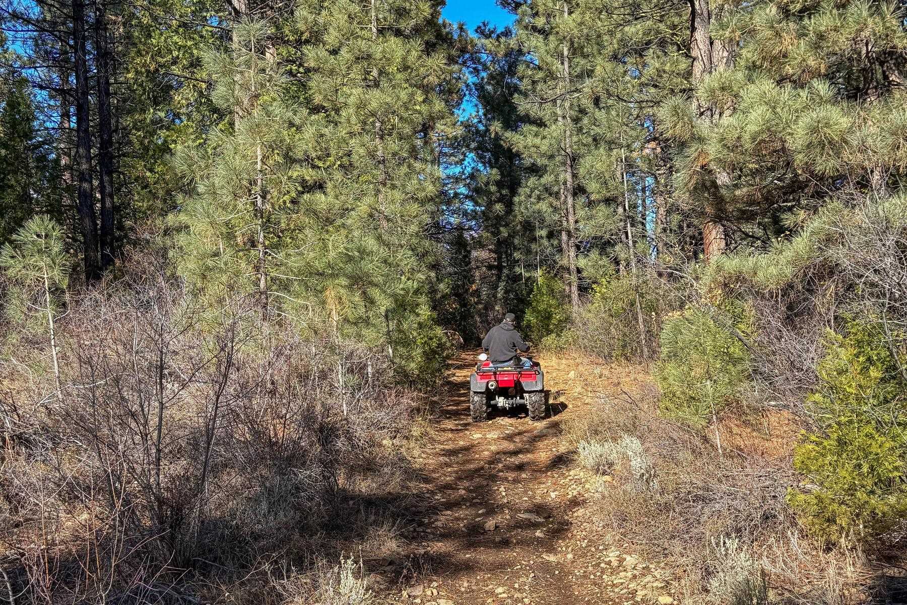 2850 22n03 Beckwourth, CA 96129 - Photo 8 of 15 a view of the trees