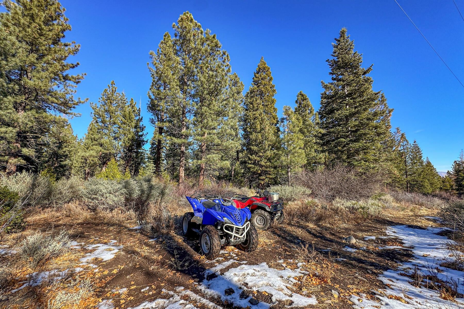 2850 22n03 Beckwourth, CA 96129 - Photo 9 of 15 a view of a backyard with sitting area